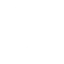 Full Extensibility & Customisability